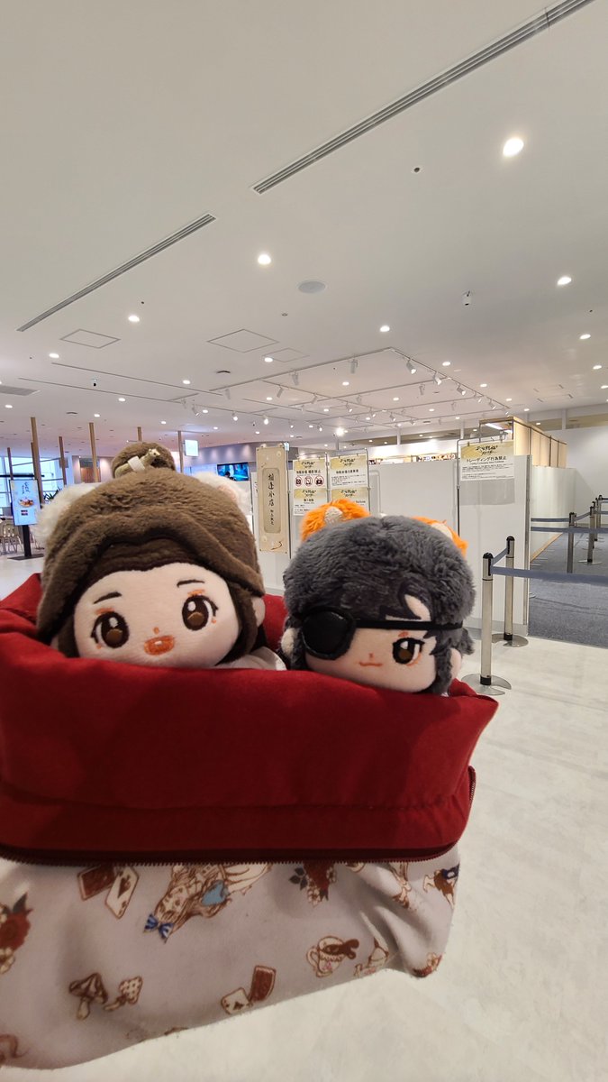 hanashiro_mami's tweet photo. ちょっと早く着いたからエレベーターで3階へ
��るくて解放的なフロアに物販コーナーとカフェ、その間の通路は御手洗いに行ける https://t.co/iADedcs0nb