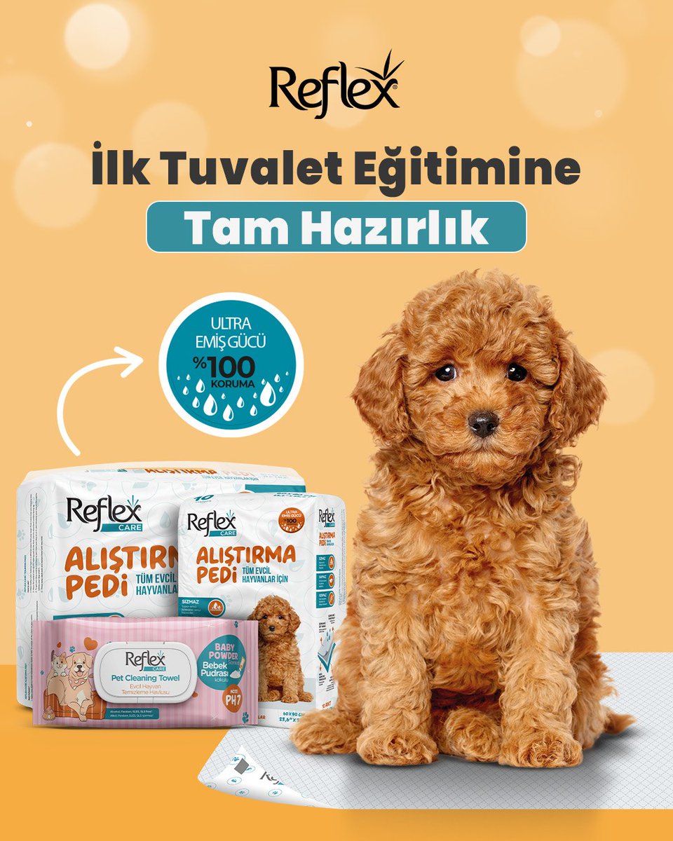 reflexplustr's tweet photo. Minik patilerin tuvalet eğitiminde %100 koruma ve tam hijyen! 🐶💛
Yavruluk döneminin en önemli aşaması olan tuvalet eğitimini pratik ve güvenli hale getiren Reflex Care Alıştırma Pedi ve Reflex Care Pudralı Islak Mendil’i keşfetmek için kaydırın! 👉 https://t.co/ArzrJc1w9c