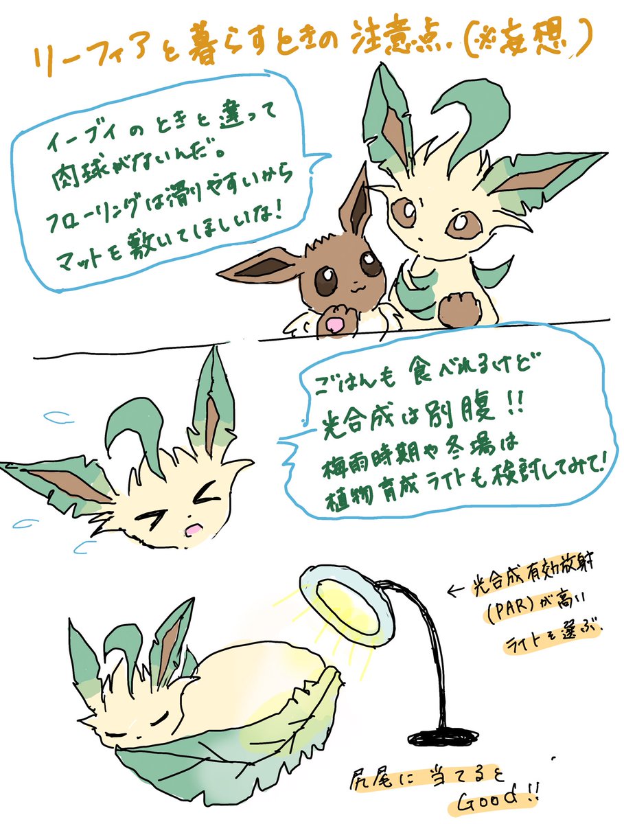 saeleafeon0618's tweet photo. リーフィアと暮らしている私が、注意点をまとめてみました！
(という妄想落書き)

※肉球については「公式絵で見る限りは無い」ということしか分からないですが、肉球はリアルでも肉食動物にあるイメージなので、私は光合成で生きれるリーフィアには無いと思っている派。
光合成については妄想。 https://t.co/dAIAduLysB