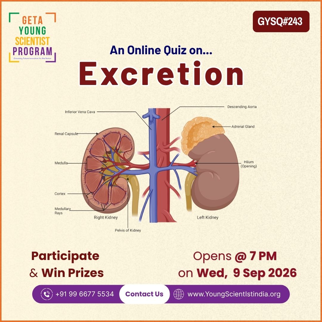 YoungGeta's tweet photo. 🧠🔬 GYS QUIZ #243 🚀

📚 Subject Topic: Excretion
📖 YSI Magazine Topic – February 2025: Training Modules

📅 Date: Wednesday, 09 September 2026
⏰ Time: 7:00 PM
🎓 Classes: 6th to 10th

🌐 [https://t.co/JPO4tHzYEE] https://t.co/RcNjL9pGHw