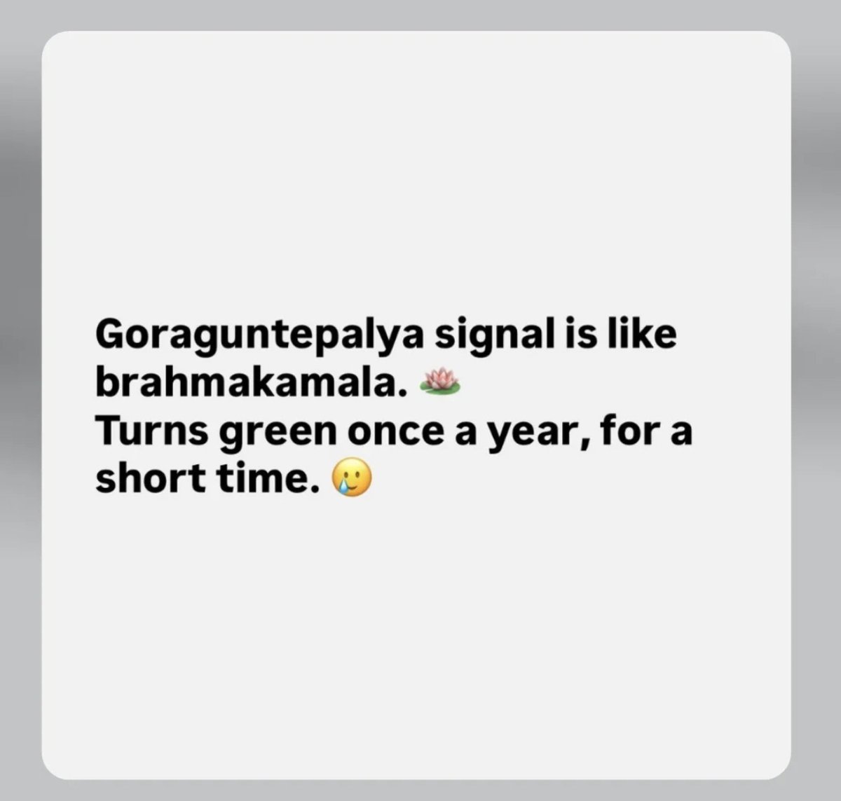 chauchaubhath's tweet photo. #RHRN 😜 https://t.co/vIyBDrzPir