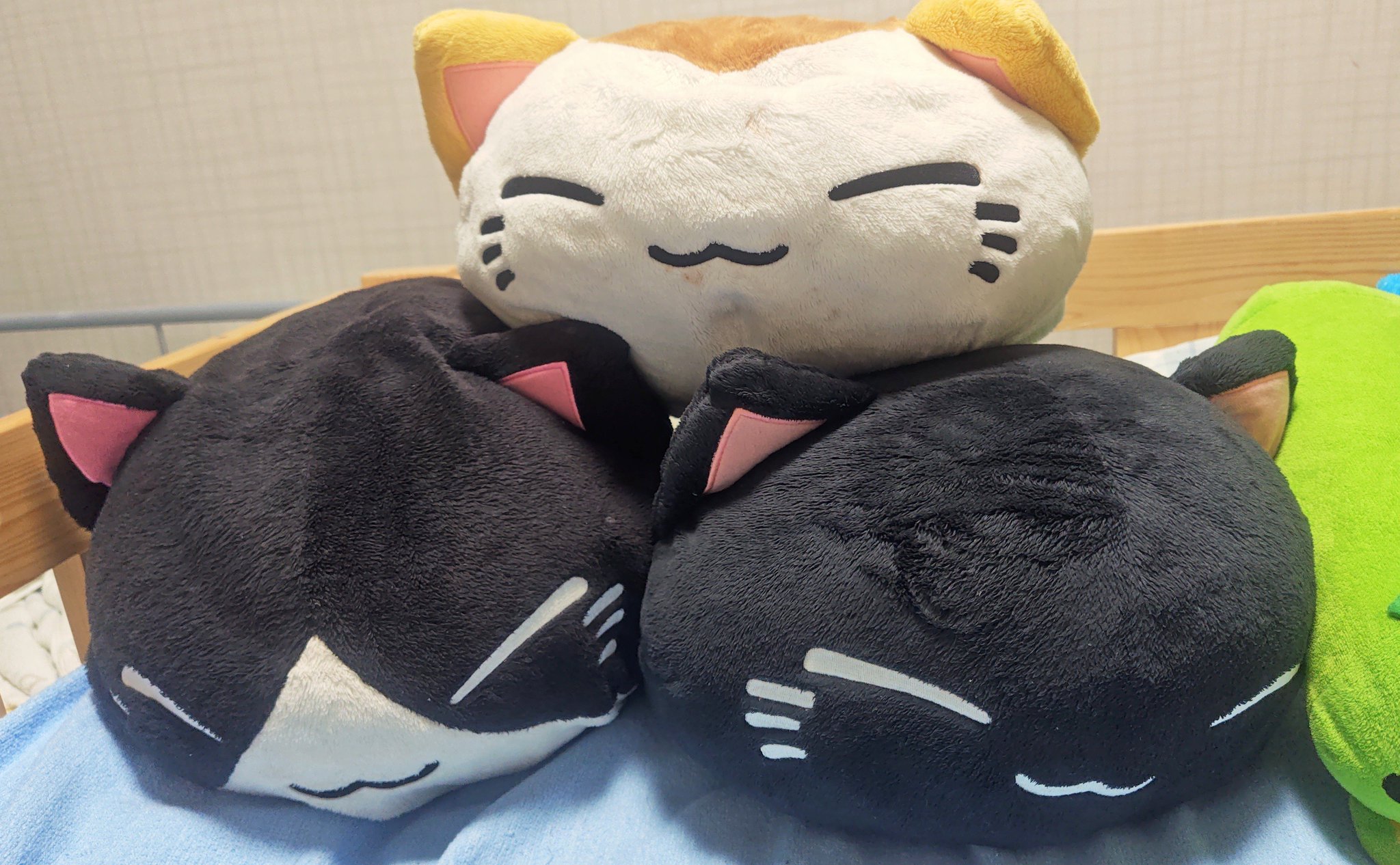 ねむるねこ コマツ on X: 