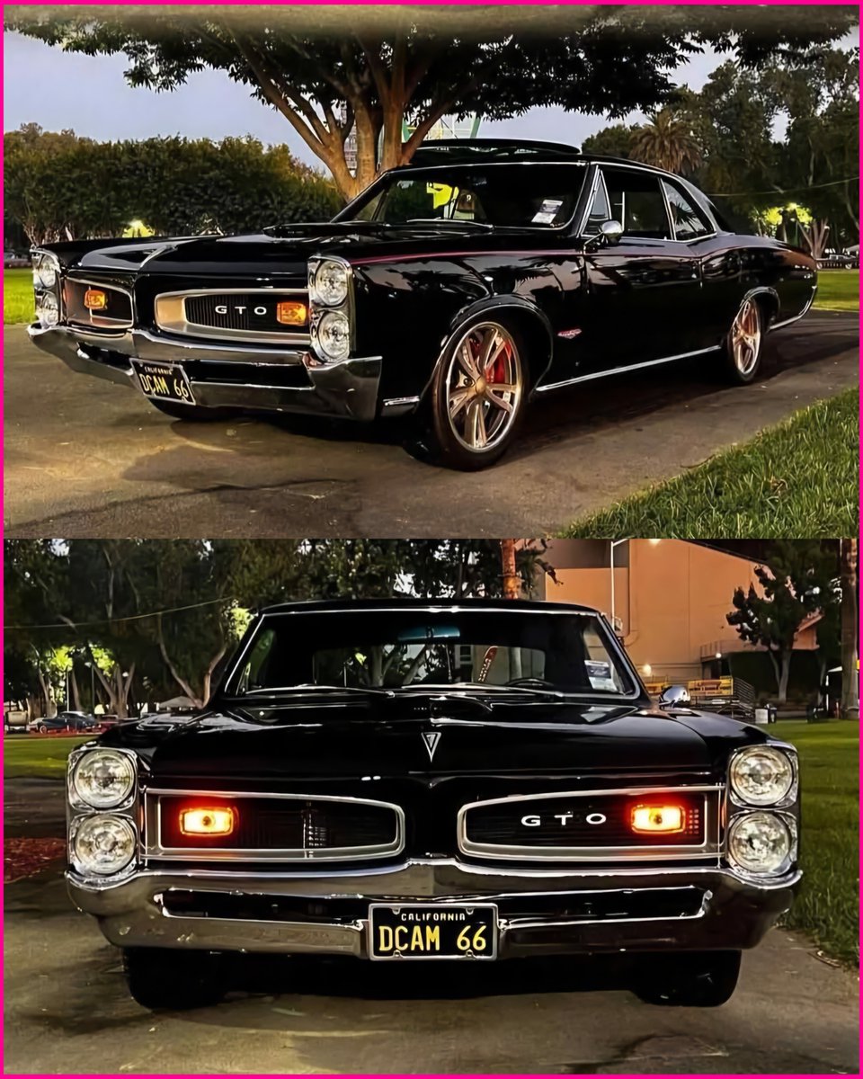 Mopar_Logic's tweet photo. Pontiac GTO https://t.co/t0pNbUtYm7
