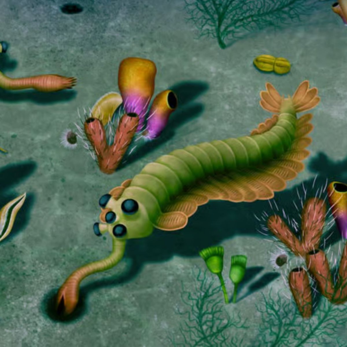 Dexerto's tweet photo. A giant "poop explosion" may have kickstarted complex life on Earth around 540M years ago, according to a new study https://t.co/ufOQ70KNIk