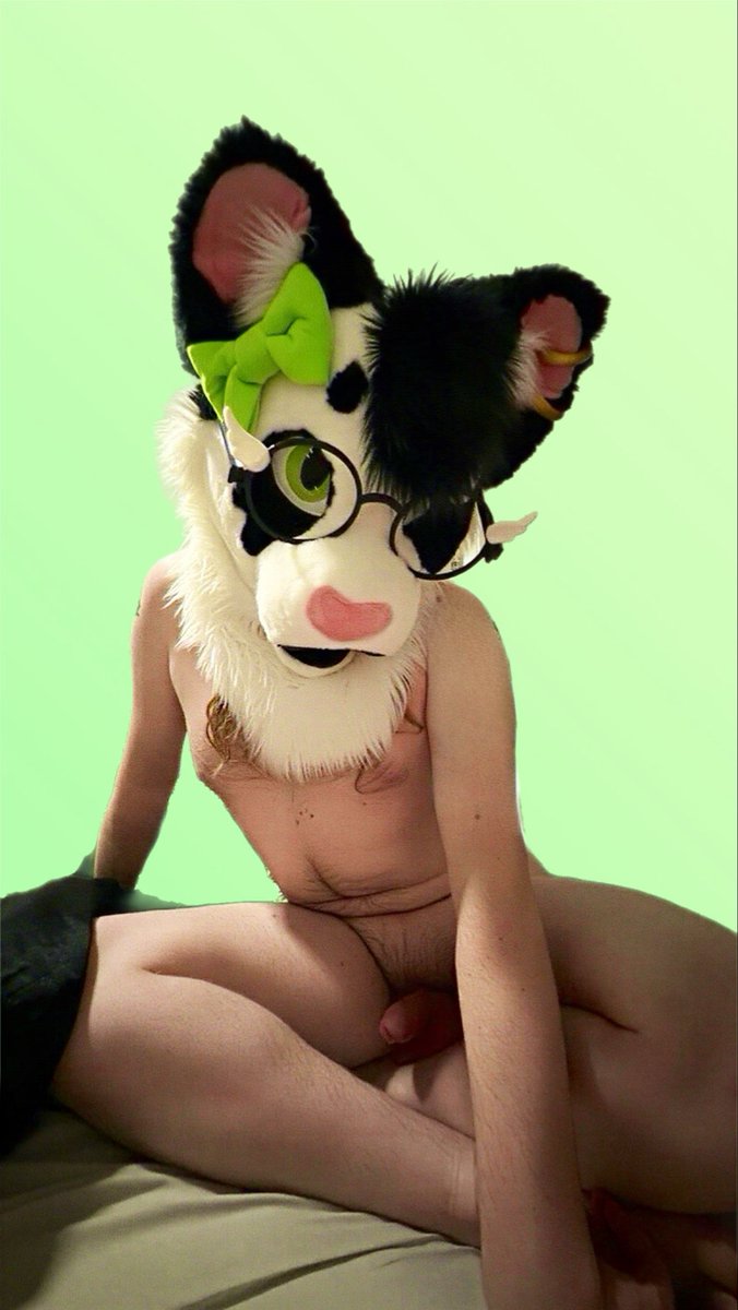 ApolloKittyAD's tweet photo. You walk in on the kitty like this, what are you doing to him?😘

•
•
•
•
•
•

#furrynsfw #yiff #nsfw https://t.co/OnzQRcK3RO
