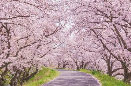 its_me__'s tweet photo. 日が短くなると
なんだか気分も沈みがち…
でも、お家でのんびり
お気に入りの飲み物を楽しむ
時間が増えるチャンスかも☕✨
小さな幸せを見つけて、
心温まる季節を過ごそう。 https://t.co/dtU7w6AAGw