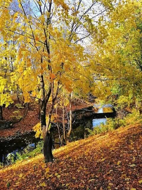ptasenko69415's tweet photo. https://t.co/5v4HBZXSNA