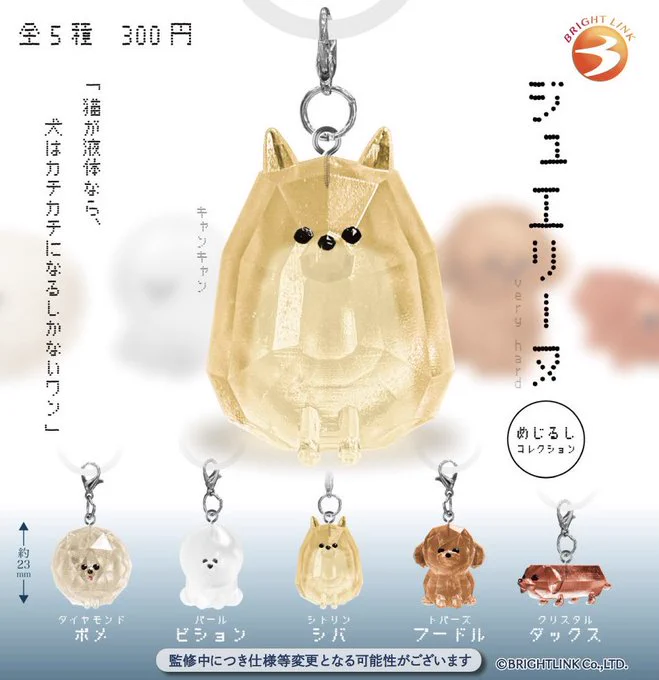 ポメ様♡14kgf ポメラニアン ちょむ on X: 