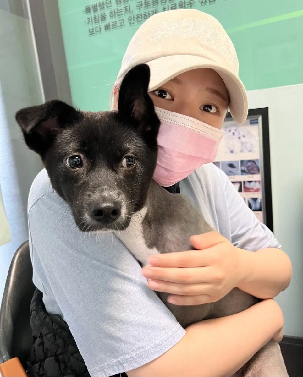 ollyssi's tweet photo. That's literally based on Jeongyeon's baby, Yuki! If you want specific detail, look at the snout, it's white just like Yuki's.  🤍🖤

For new ONCEs, Yuki is Jeongyeon's rescue dog with severe skin condition.  She did all she could to save him and look how handsome he is rn! 💚 https://t.co/pKgklcdoIX