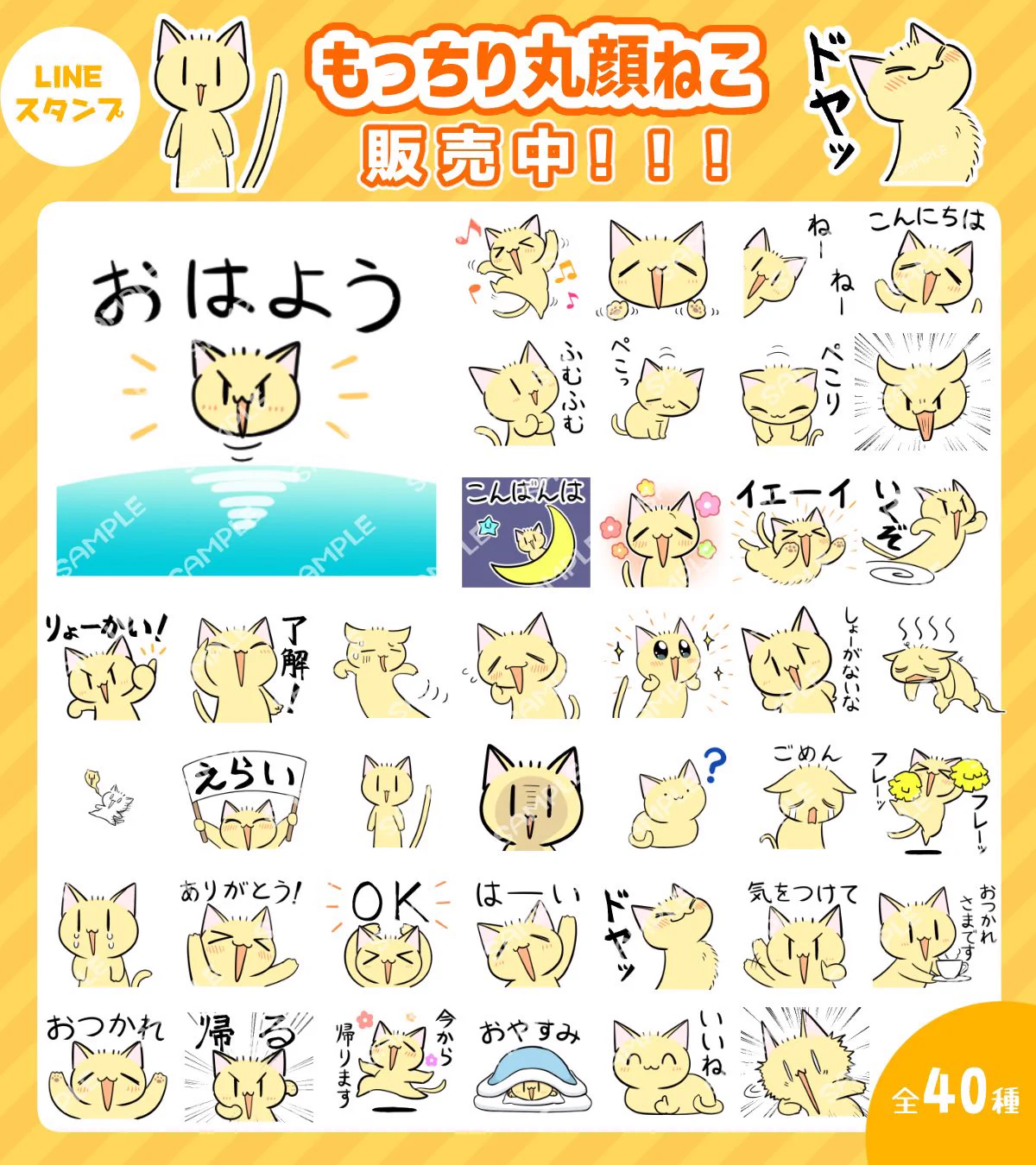 たっきー (@Takky_pic) / X