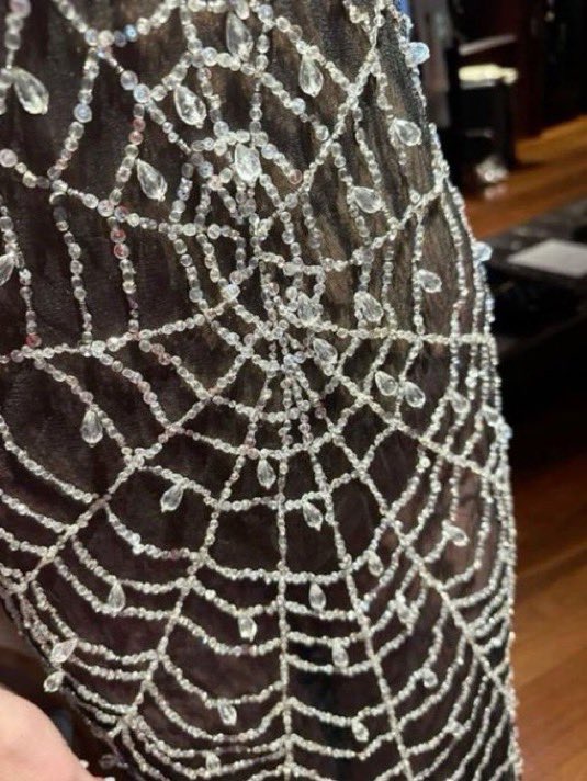 evergreenhues's tweet photo. Annie's Ibiza fw24 spider web veil https://t.co/WrqVX6iyXL
