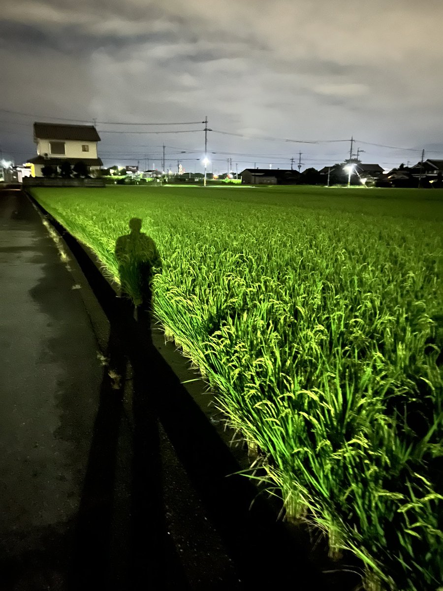 akiolog's tweet photo. 夜道 https://t.co/oVBljOemqL