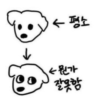 nurungiii_'s tweet photo. 뭔가잘못한강쥐 https://t.co/8lbLv7eCBl