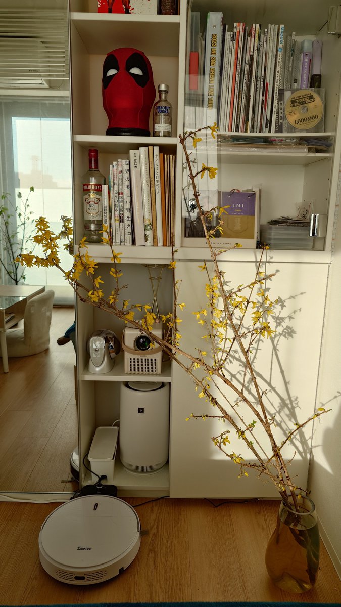cos_fire_17's tweet photo. あと枝物にハマって部屋に飾ったりしてる https://t.co/ttTVGaZJx9