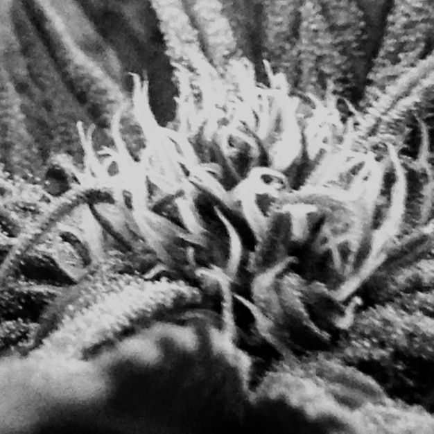 eliokim306127's tweet photo. But they’re not really EFFORT in the sense I mean, yes you have to get there and plan but you don’t have to really think much or continue doing it, it’s a one and done thing. https://t.co/fyMxZBYhNT