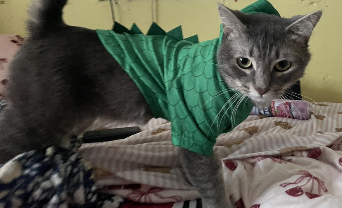 panoramahearts's tweet photo. my little dinosaur 🥹 https://t.co/ZPiobEmBO1