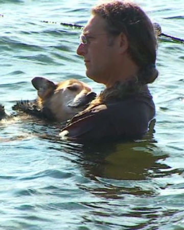 AcervoCharts's tweet photo. Nos últimos dias de vida de seu doguinho, homem o segurava na água para ele dormir sem as dores da artrite. https://t.co/fNemoGGvHC