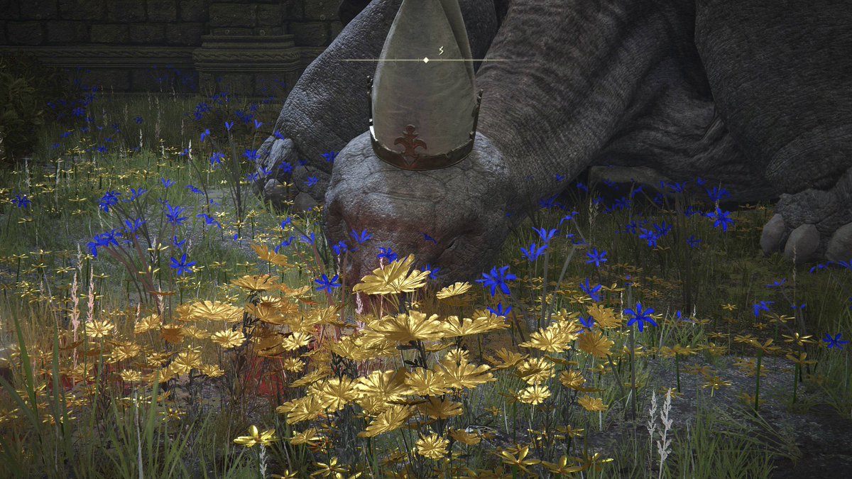 papermetroid's tweet photo. I love how flowers in elden ring tell a story https://t.co/5gJINF3Dwy