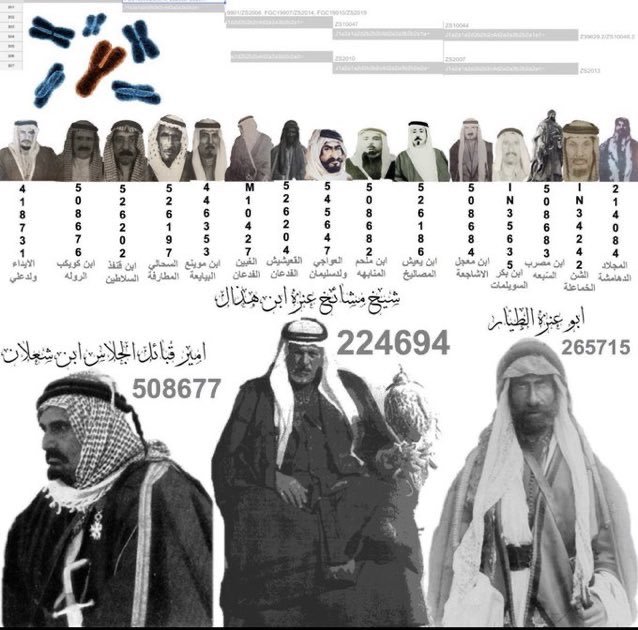 adelALURAYIR's tweet photo. ..
#FGC1723
#By8
#عنزة
#ربيعة
تحور By8 حفيد FGC1723
تحور ربيعة العدنانية
ومتربعين عليه شيخ مشايخها
ابن هذال العنزي الربعي العدناني و ربعا ربيعة https://t.co/ysdEnAH0qo