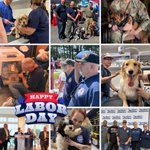 Photo by Paws of War (@PawsofWarUSA)