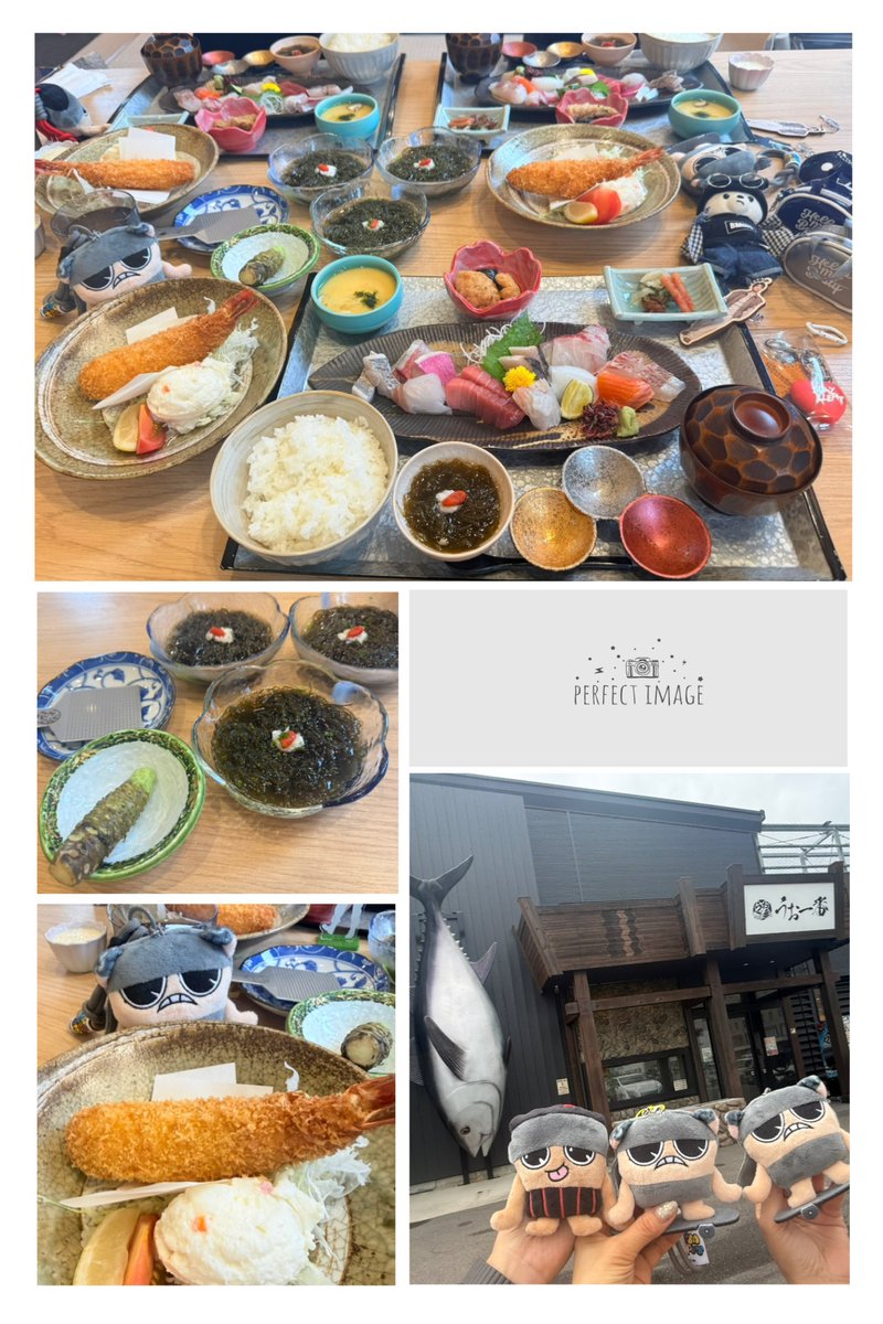 shunavy901's tweet photo. 始発前出発してうお一番へ🚗
食べたかった刺身定食・岩もずく・エビフライ🍤(ベスティの理想的な注文だそう😆)
どれもほんとに美味しくて大満足✨✨
エビフライはほんと衝撃的な美味しさだった❣️
デザートは念願のぴよりん💛 https://t.co/j3beCDKROY