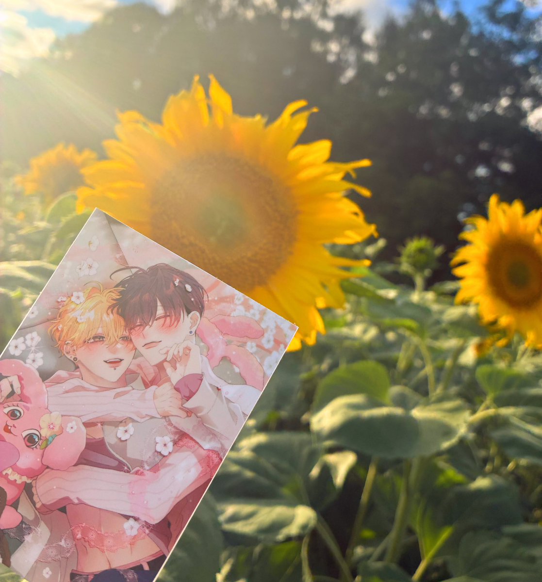 tkhs0315555's tweet photo. 変ストに出会ってから夏の恒例行事となったひまわり畑に行ってきました🌻
今年はまだ1回しか行けてないので、
もうひと目見たいと思っております𓏗𓏗 ˊ˗
#変態ストーカーに狙われてます
#変スト #みん未 先生@minMI4Q https://t.co/7Oq8Vq2t2K