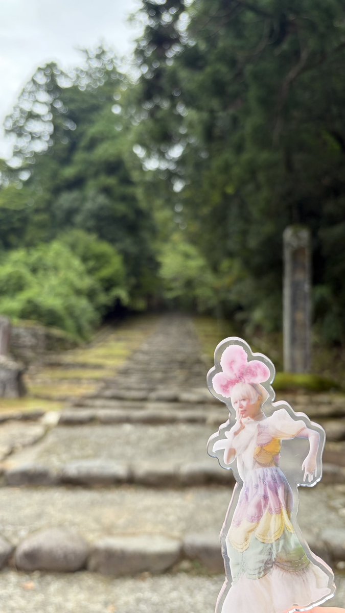 no__problem_'s tweet photo. 朝の白山神社、蝉とか鳥の声が聞こえたり空気が澄んでいて良きだった https://t.co/zAmP02o8a8