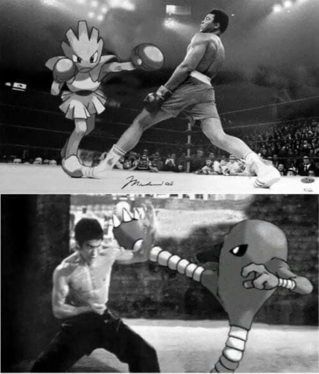 pokemon_daily's tweet photo. https://t.co/b9ouYEs8w4