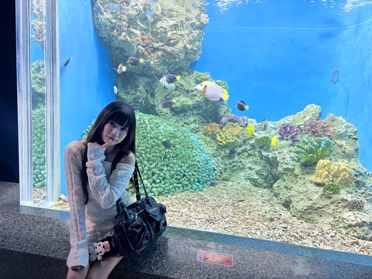PraewprawNyZas2's tweet photo. ชอบสีฟ้าจัง🌊  + (Recap ในเม้นนะ) https://t.co/28RULFcNjG