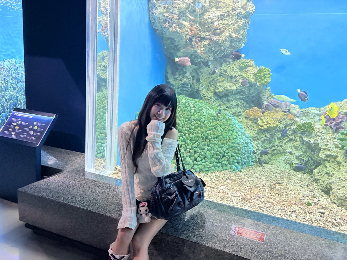 PraewprawNyZas2's tweet photo. ชอบสีฟ้าจัง🌊  + (Recap ในเม้นนะ) https://t.co/28RULFcNjG