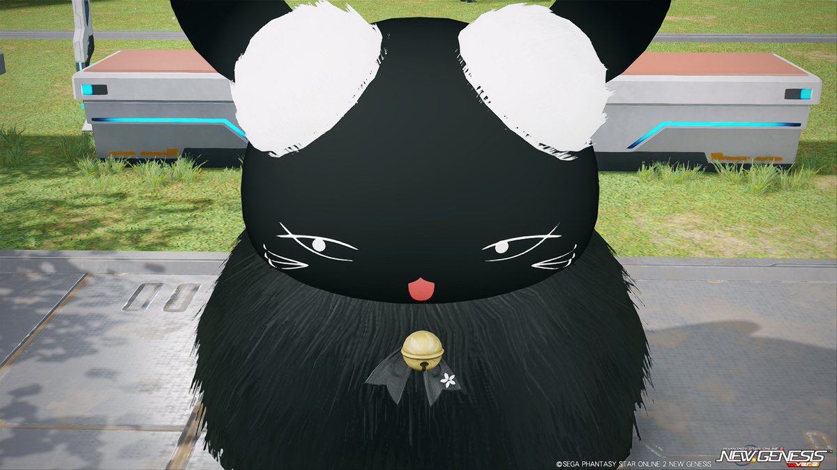 mmmmmmmm79's tweet photo. 見る角度によって表情変って可愛い🐥🐱　#PSO2NGS #PSO2NGS_SS
妖精ずんだもんも色変えるとだいぶ違って感じますね～🐥 https://t.co/YRFQCxj0kY