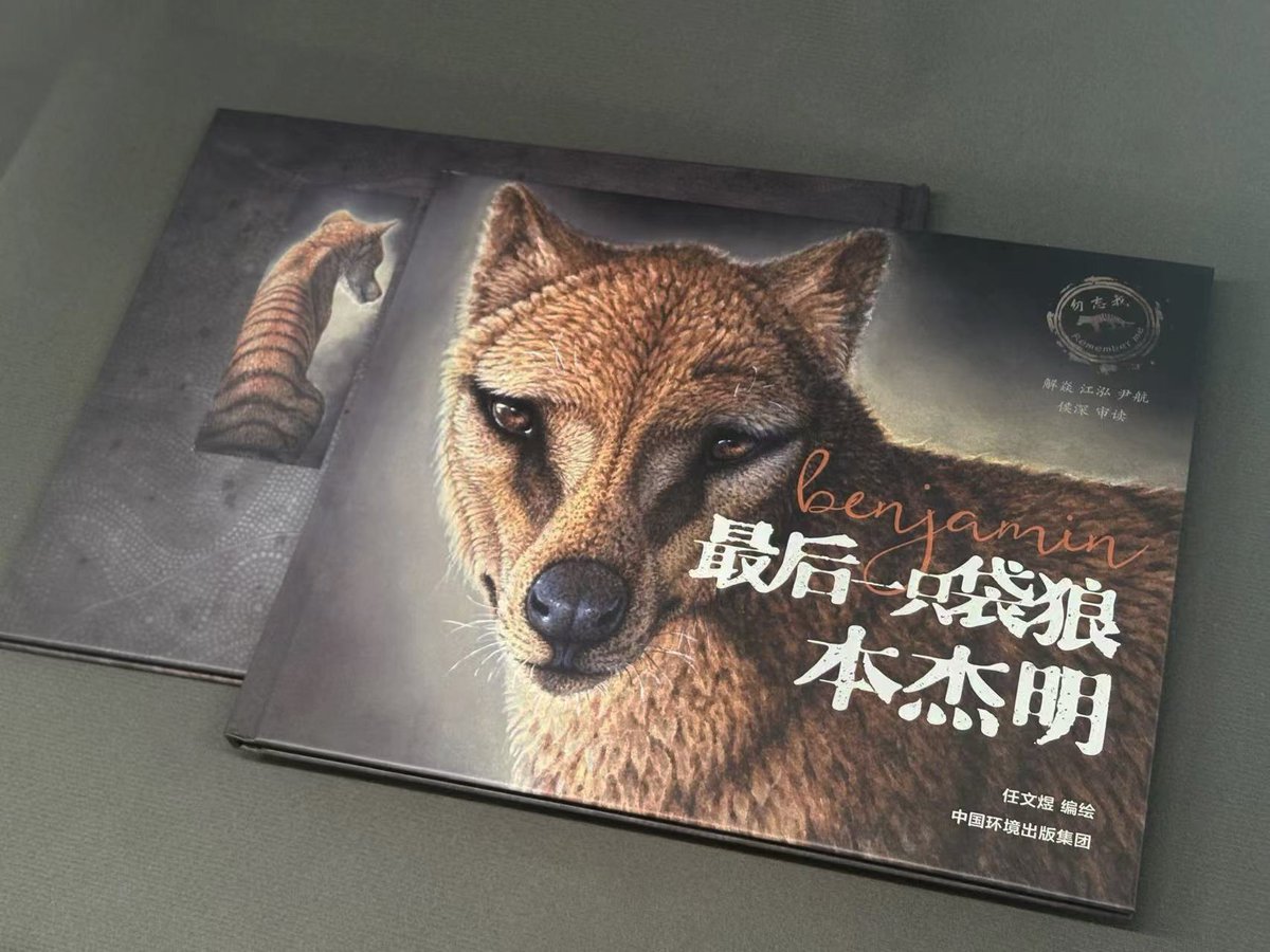ren_wenyu's tweet photo. Last year, I published a picture book about the Thylacine named "Benjamin" in my country, illustrated with watercolcrs. I hope it can be published in other countries in the future. https://t.co/ZSVucXgO8o