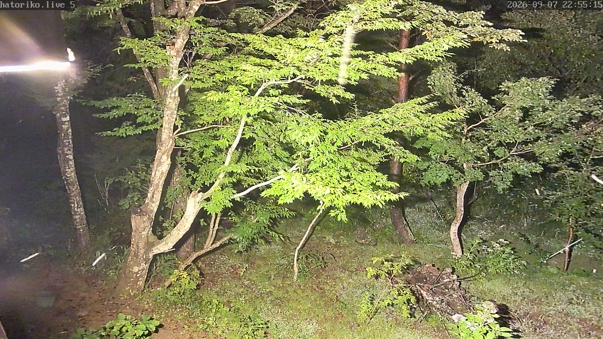 HatorikoBot's tweet photo. 🕒 09月07日 23時01分現在の福島県・天栄村・羽鳥湖平和郷の気象状況です。
🌡 気温:17.9℃
🏳 最大風速:調整中
🌐 気圧:1011.2 hPa
🌧 日雨量:98.5mm
🔎 詳細、グラフは プロフィールのリンク から
#天栄村 #福島県 #空ネット #netatmo #クマ https://t.co/J1AYnlViaV