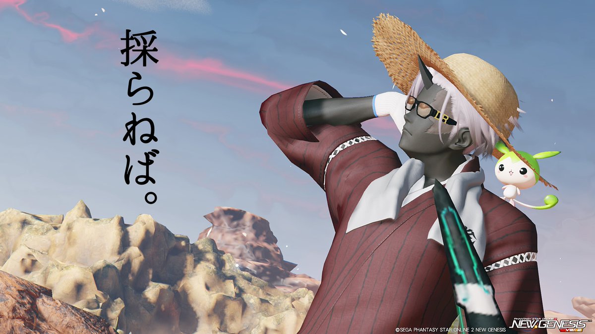 PSO2_hayabusa's tweet photo. #PSO2NGS_SS
収穫してますかーッ！ https://t.co/UqzNnFyKWK