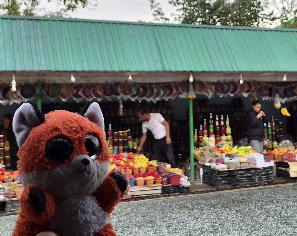 VikingChels's tweet photo. Between the rain some roadside market and waterfall~ (he fell forward, so no surprise waterslide) https://t.co/OvEtMsee25