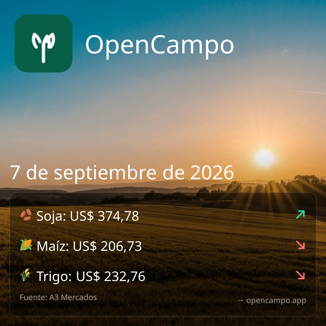 OpenCampo's tweet photo. Faena vacuna en alza: julio cerró con 1.095.548 cabezas, máximo de los últimos 5 meses 📈 Soja FOB US$374,78/tn | Maíz US$206,73 | Trigo US$232,76. Más datos en https://t.co/1MjWfA99YP #agro https://t.co/9WYXarnYhW