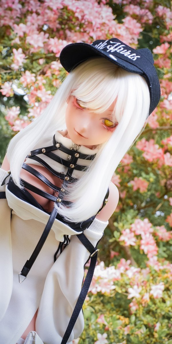 orionedoll's tweet photo. #orionedoll https://t.co/eQ5UPjH2A9