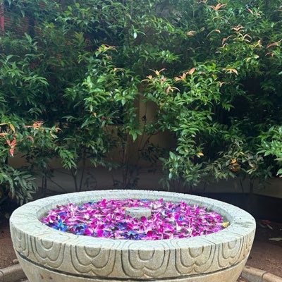 Professor_JaGo's tweet photo. Nature the Nature for the Future 
-Professor JaGo 

#education #empathy #environment #energy #economy 

@EduMinOfIndia  @IITBAA_Official 
#NewProfilePic https://t.co/znRGSA7VAn