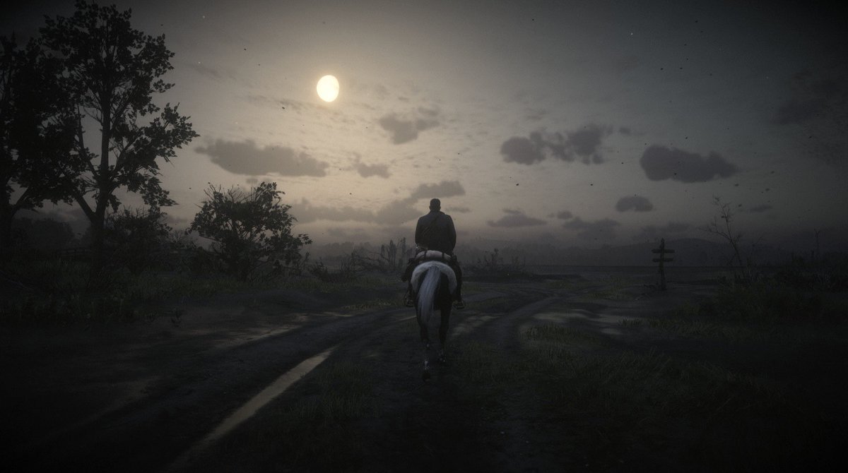 schaferpov's tweet photo. Red Dead Redemption 2 https://t.co/1eimsMkmtG