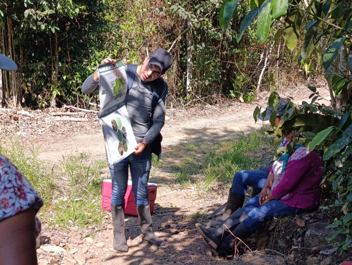 AgrocalidadZ1's tweet photo. ✅ |  #JuntosContraFocR4T

Realizamos vigilancia y control fitosanitario en cultivos de banano, en Jijón y Caamaño, #Carchi, con la implementación de trampas para picudo, como parte del Proyecto Foc R4T y otras plagas de importancia económica.

#ProtegemosElAgroEcuatoriano💪🏽 https://t.co/FMNOSDfIuj