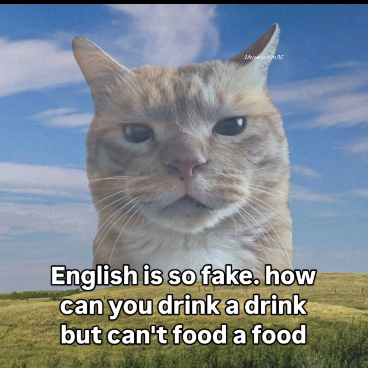 messedupfoods's tweet photo. https://t.co/Mz3AfWRMCP