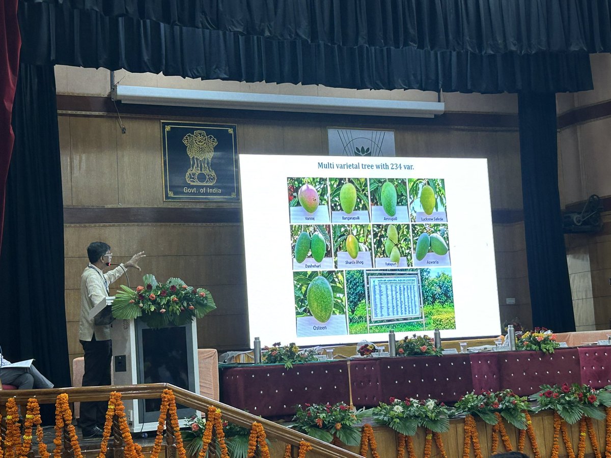ICAR_CISH's tweet photo. 🥭🌱 **ICAR-CISH celebrated its 43rd Foundation Day** with a workshop on **“Smart Orchard Management.”**
Director **Dr. T. Damodaran** presented a roadmap for **Mango &amp; Guava towards Viksit Bharat @2047..
@icarindia #ViksitBharat2047 #SmartOrchard #Mango @DamodaranT22483 https://t.co/oggpIMTlZE