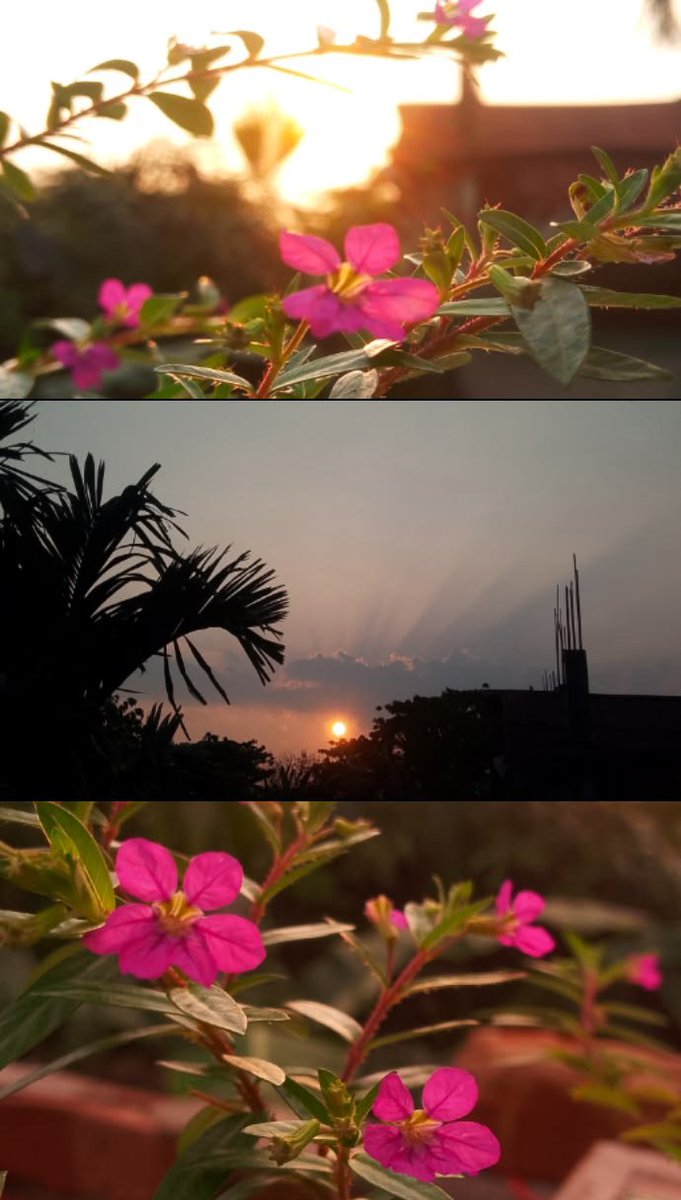 Alishafods's tweet photo. Sunset is proof that endings can be beautiful. 🌇 https://t.co/s9fs28QLiD