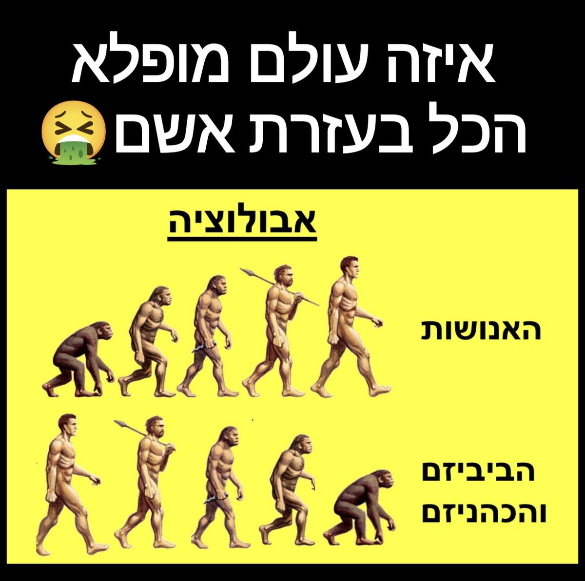 zibbon69's tweet photo. @NaorNarkis https://t.co/xTfvIK3069