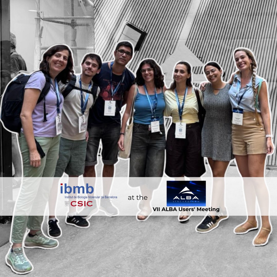 IBMB_CSIC's tweet photo. (1/2) IBMB-CSIC at the VII ALBA Synchrotron User Meeting   

Structural biology groups presented key contributions:   🔹De novo protein design &amp; nanomachines.  🔹Bacterial immune evasion. 
🔹Massive 5.6 MDa protein cages    

🔗 https://t.co/vDUs8l9MSK

@ALBAsynchrotron https://t.co/6O41Y86t6N