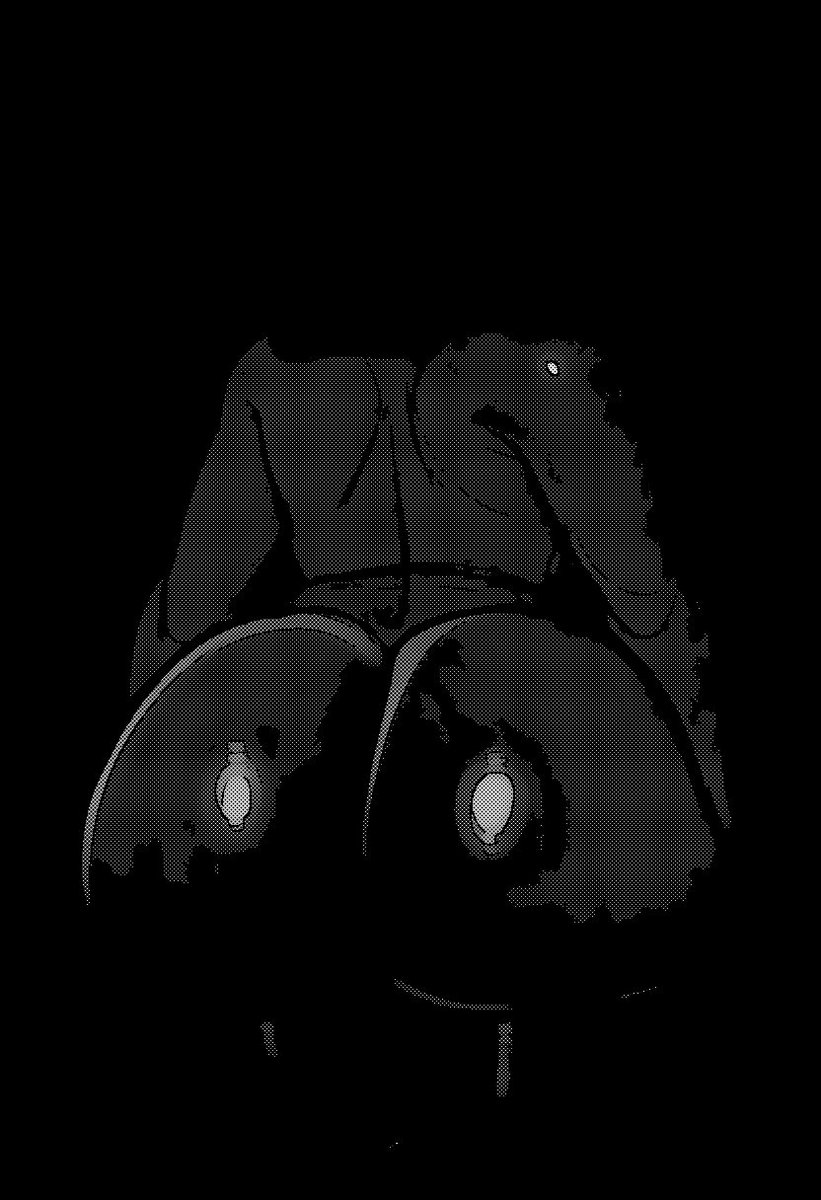 BLACK_SLOP's tweet photo. 🖤) Ubou.

an unknown creature of Greek and Japanese folklore that only appears in the darkness of your dreams 

With a white face you can't forget. . . Be careful or you might get stuck in the dream world forever ~ 🖤 https://t.co/CDGyNV8C2v