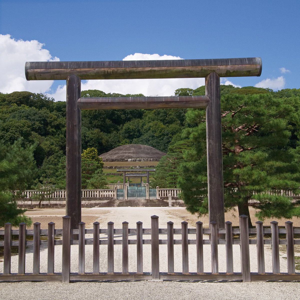 takemuramino's tweet photo. Perfect Things 200                            

#写真好きな人と繋がりたい #写真撮ってる人と繋がりたい #PerfectThings https://t.co/WAfGnbFncC