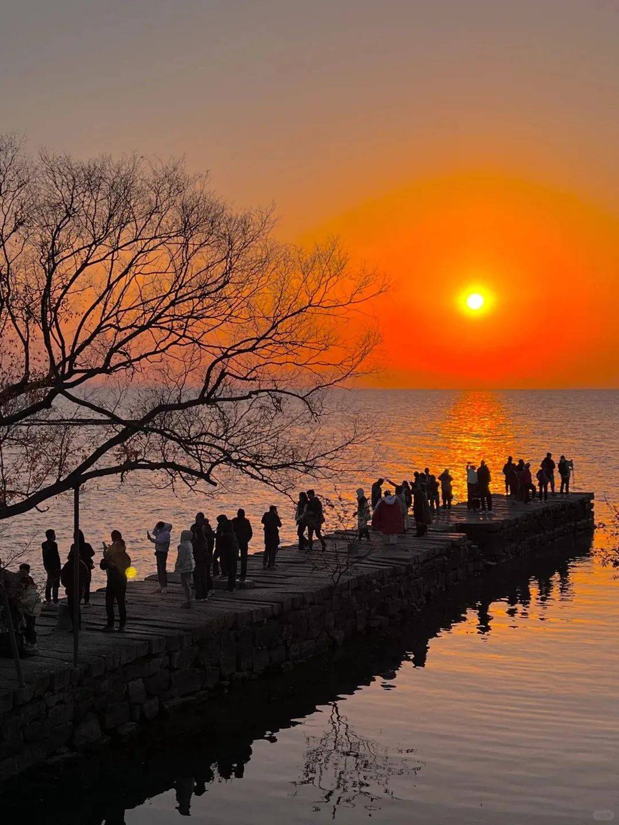 Mune051's tweet photo. Our campus photography club is holding a sunset photo walk this Saturday at 5PM by the Central Lake! All skill levels are welcome—bring your camera or just your phone, grab tips from pro members, and make great shots with fellow shutterbugs. RSVP via the club page by Friday! https://t.co/JjxTqe7vbn