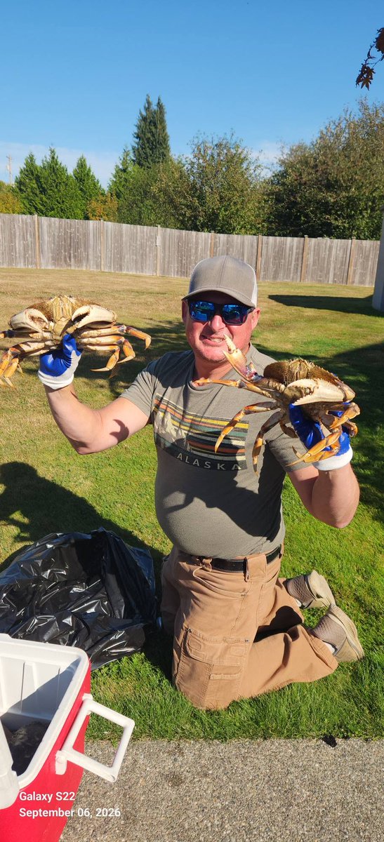 snocoliving's tweet photo. Yesterday was a perfect day to be on the water crabbing. Took some persistence yet we were able to secure our 2 limits and feed 6 people with these monsters.

PS. I don't remember where the pots were set. 😁

#portsusan #crabbing #snoco #shelfishing https://t.co/kRqpz66zSc