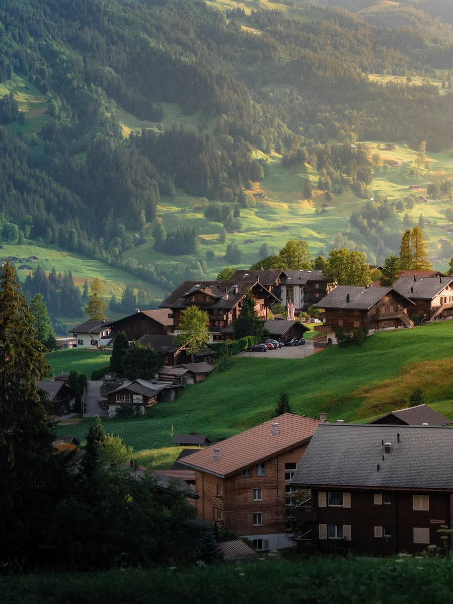 flower6260's tweet photo. Grindelwald, Switzerland https://t.co/56Gq9b7BLG